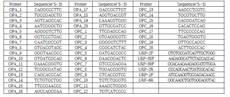 실험에 사용된 OPA, URP 프라이머 목록