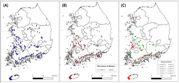 2020~2022년 마늘 녹병의 조사 지점(A), 녹병이 발생한 지점(B) 및 발생 지점 에서 병강도 단계를 표시한 지도(C)
