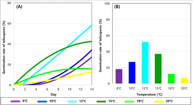 마늘 녹병균 겨울포자의 온도구간별 기간(일)에 따른 발아율 그래프(A) 및 온도별평균 발아율 그래프(B)