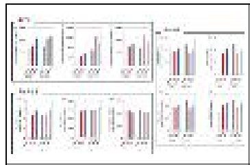 다양한 광 환경 조건에서 gi/CRISPR 배추의 2차 대사산물 합성 변화