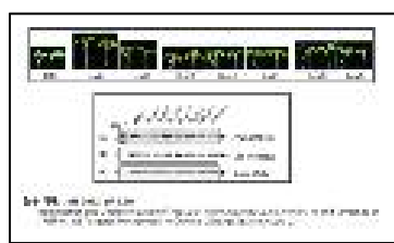 BrPRR1a, 1b 발현 억제 배추 형태형성 변화 분석을 통한 주동 유전자 선발 확인