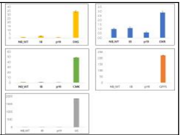 NtDXS 등 5종 유전자 발현 qPCR 결과