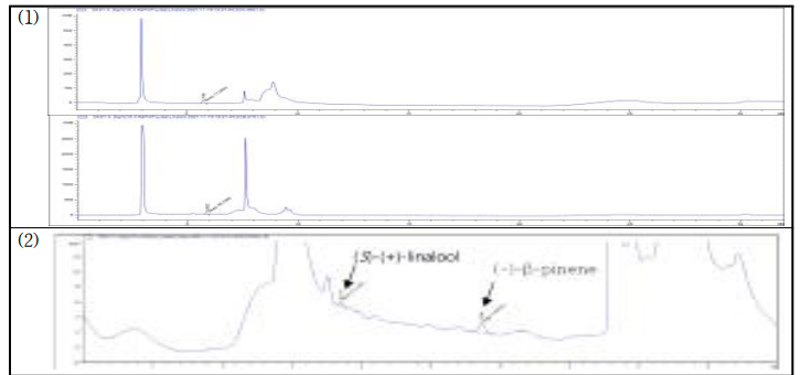 (1) HPLC 기반 야생형 담배(N.benthamiana : 위, N.tabacum : 아래) 리날로올 분석 결과 (2) NtDXR 유전자 발현 Lv.1 모듈 일시발현 시료의 모노테르페노이드 HPLC 분석 결과