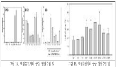 핵심유전자의 공동 형질주입 및 다중발현모듈 활용 유전자 발현 qRT-PCR 결과