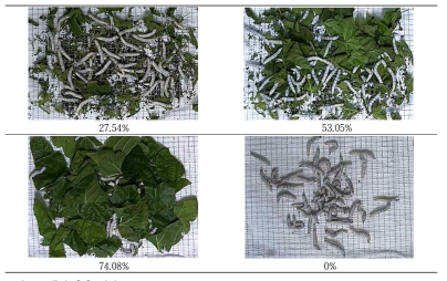 뽕잎 추출 결과