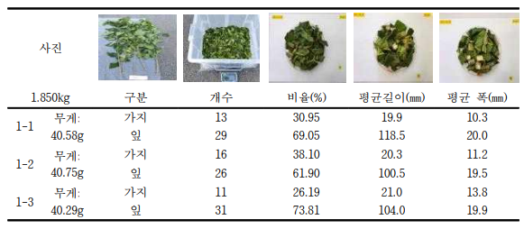 그룹 가지 뽕의 절단 실험 결과