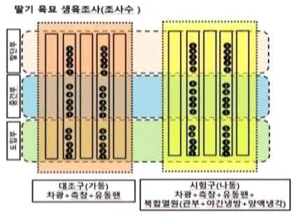 딸기 육묘기 생육조사 위치도