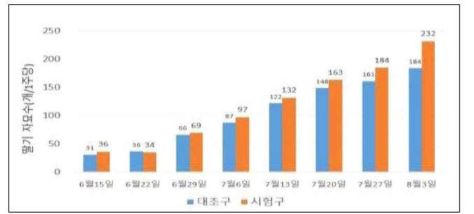 딸기 야간 냉방 및 주간 모주의 관부냉방에 의한 자묘수 증대 효과