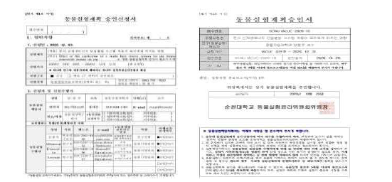 동물실험계획 신청서 및 승인서