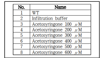 Acetosyringone 농도별 조건