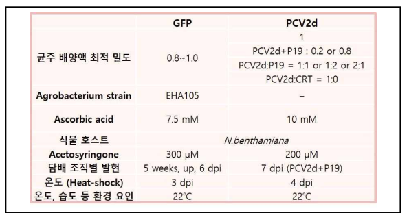 재조합 단백질 발현량 증진 조건