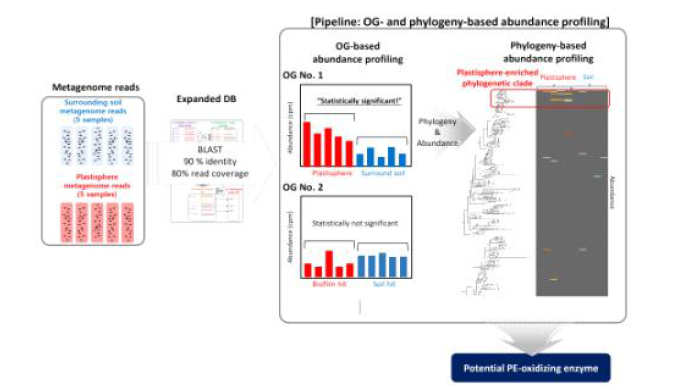 메타유전체에서 PE-산화 효소를 찾기 위한 산화 효소 DB 및 분석 파이프라인