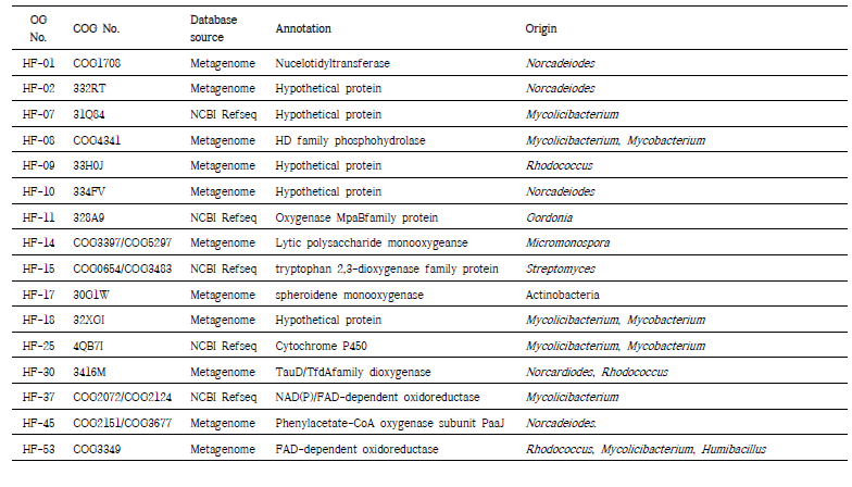 PE 산화 효소 후보군의 단백질 정보 및 계통 정보