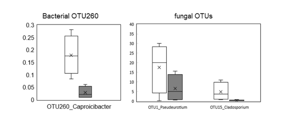 플라스틱 필름 특화된 미생물 OTU의 선발. 세균(좌), 진균(우)
