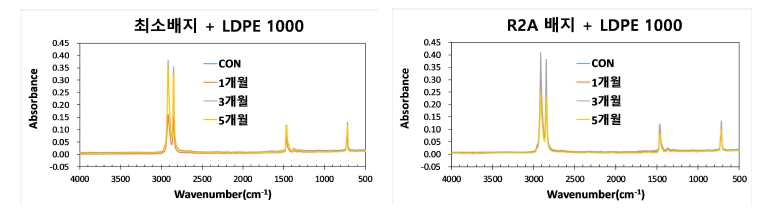 증균배양 선발균을 이용한 LDPE 1000 분해 활성 평가. 최소배지(좌), R2A 배지(우)