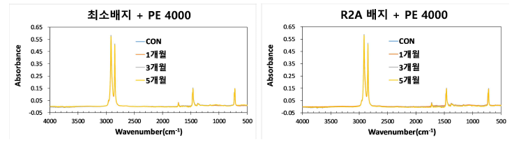 증균배양 선발균을 이용한 PE 4000 분해 활성 평가. 최소배지(좌), R2A 배지(우)