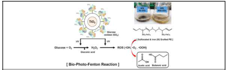 Bio-Photo-Fenton 반응을 이용한 SPE 분해 모식도