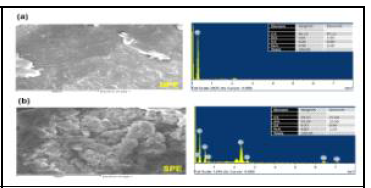 SPE와 PE의 주사현미경을 이용한 표면 관찰 및 원소 분석 SEM을 이용한 표면분석 (좌) 및 EDS 분석을 이용한 원소 분석 (우) PE powder (A), SPE powder (B)
