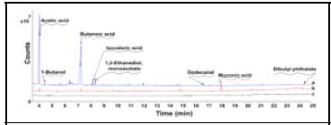 Bio-Fenton 반응을 이용한 SPE 분해산물 GC-MS 분석 반응 48시간 후 BIo-Fenton 반응에 의한 SPE 분해산물 (a), 대조구 GOx (b), 대조구 SPE에 의한 생성물 (c)