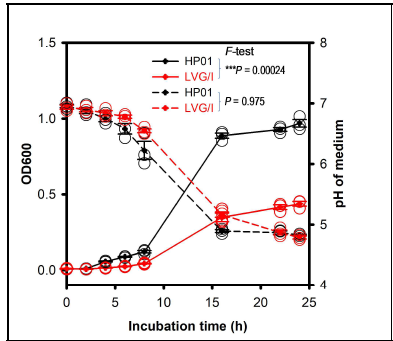 균주 HP01과 표준균주 S. oralis LVG/I의 세포 성장 곡선과 tryptic soy broth 배지의 pH 변화