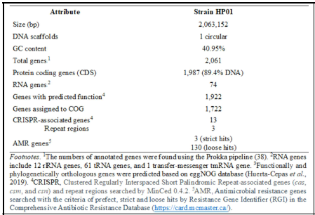 균주 HP01의 유전체의 통계