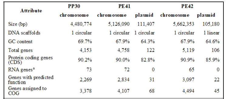 LDPE와 PP 미세플라스틱에서 분리한 3종의 방선세균 균주들의 전장유전체 통계값들