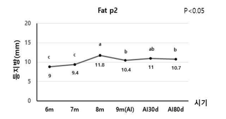 후보돈 시기별 등지방 두께 변화