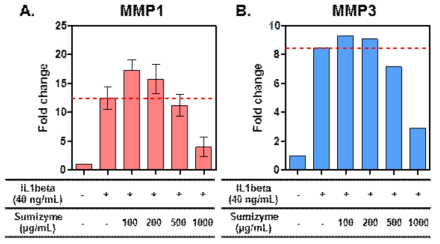 관절염 유도 환경에서 sumizyme 효소가수분해물 처리에 의한 SW1353 세포의 (A) MMP1, (B) MMP3 생성량 변화 (1-fold: 무처리군)