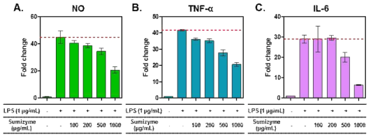 관절염 유도 환경에서 sumizyme 효소가수분해물 처리에 의한 RAW264.7 세포의 염증매개물 생성량 변화 (A) NO, (B) TNF-α, IL-6 (1-fold: 무처리군)