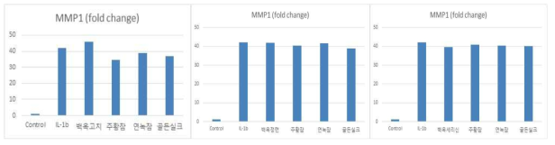 관절염 유도 환경에서 실크단백질 처리로 인한 SW1353 세포의 MMP1 생성량 변화