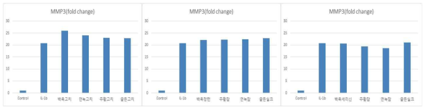 관절염 유도 환경에서 실크단백질 처리로 인한 SW1353 세포의 MMP3 생성량 변화