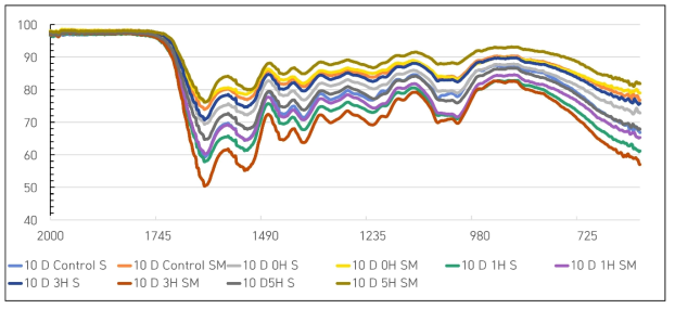 FTIR analysis of dissolved silk fibroin upon alkali treatment and subsequent B. subtilis treatment for 10 days. 10D Control S: B. subtilis was grown in R2A media for 5 days devoid of fibroin; addition of substrate and further incubation for 5 days; dialysed for 3days; autoclaved and lyophilized; 10D Control SM: B. subtilis was grown in R2A media for 5 days devoid of fibroin; addition of substrate+ B. subtilis and further incubation for 5