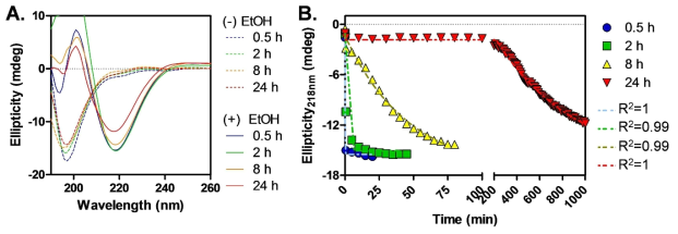 Ethanol-induced conformation transition of four types of silk fibroin (SF) in aqueous solution. (A) Circular dichroism (CD) spectra of SF samples before and after 70% ethanol (EtOH) treatment. (B) Conformation transition kinetics of SF molecules in aqueous solutions based on the ellipticity at 218 nm. The dashed lines indicate the one phase exponential decay fitting curves