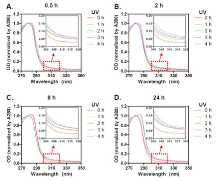 Absorbance spectra of UV-irradiated SF films (1–4 h) prepared with four SF solutions that were dissolved for different times (A: 0.5 h; B: 2 h; C: 8 h; D: 24 h)