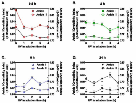 Amide I and III crystallinity index calculated from FT-IR spectra of UV-irradiated SF films prepared with four SF solutions that were dissolved for different times (A: 0.5 h; B: 2 h; C: 8 h; D: 24 h) (n > 6; mean ± SEM)