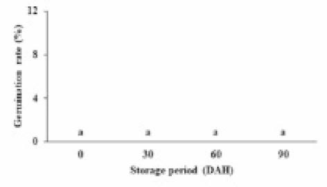 저장 기간 별 도깨비가지 종자 발아율(상온 저장)