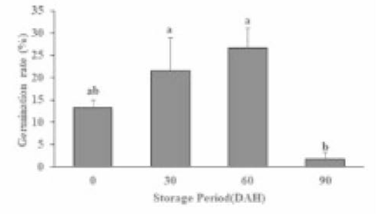 양미역취 종자의 저장기간별 발아율 변화(저온 저장)