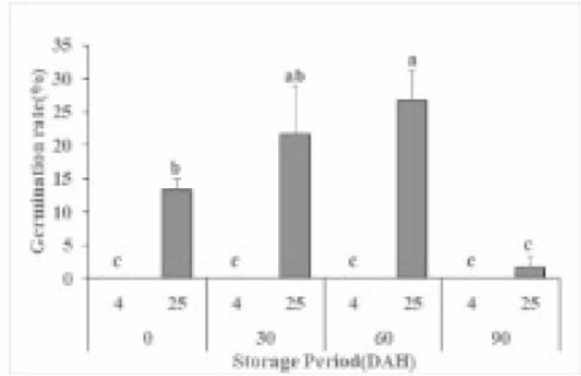 양미역쥐 종자의 온도별 발아율 변화