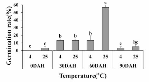 애기수영 종자의 온도별 발아율 변화(상온 저장)