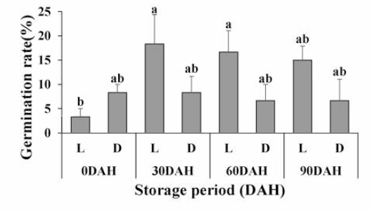 애기수영 종자의 광조건별 발아율 변화(저온 저장)