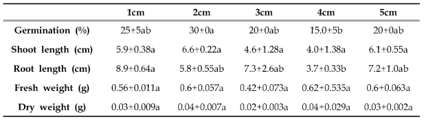 파종 심도 별 애기수영 종자의 발아율 및 생 육 조 사 결과