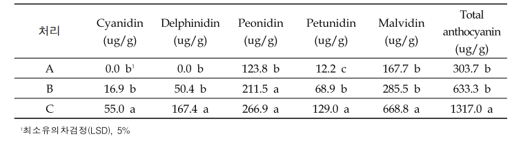야간 온도 처리에 따른 수확기 과피 내 안토시아닌 함량