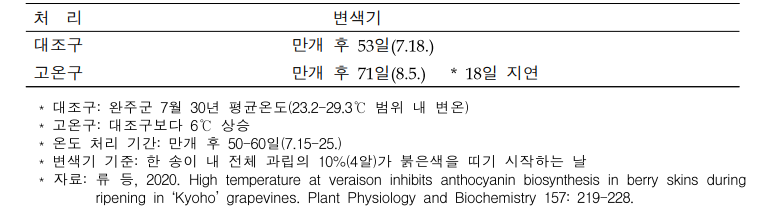 포도 ‘거봉’의 성숙 초기 고온에 의한 과피 변색기 지연