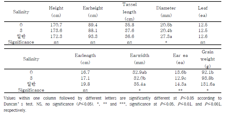 토양 염농도에 따른 옥수수 생육 및 수량비교
