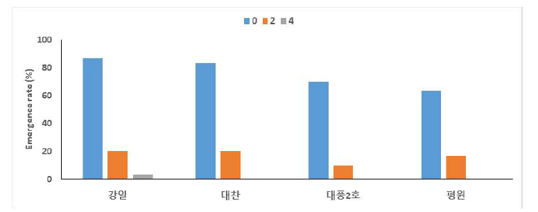 염농도와 콩 품종에 따른 출현율