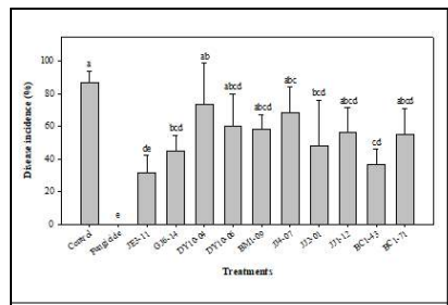 선발 미생물 유묘 실험 이병율