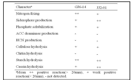 GJ6-14와 JJ2-01 균주의 특성