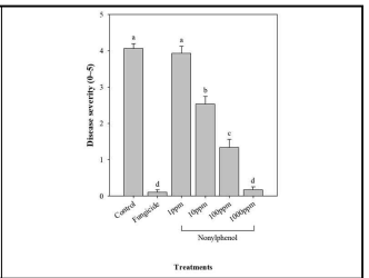 농도별로 관주 처리한 nonylphenol에 의한 발병 정도