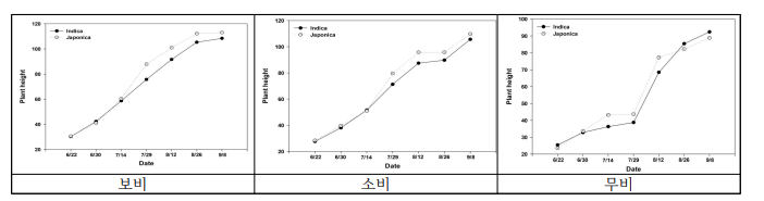 인디카 및 자포니카 생태형간의 초장 변화
