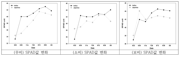 인디카 및 자포니카 생태형간의 SPAD값 변화